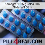 Kamagra 100Mg Oral Jelly Sildenafil 5Gm viagra2